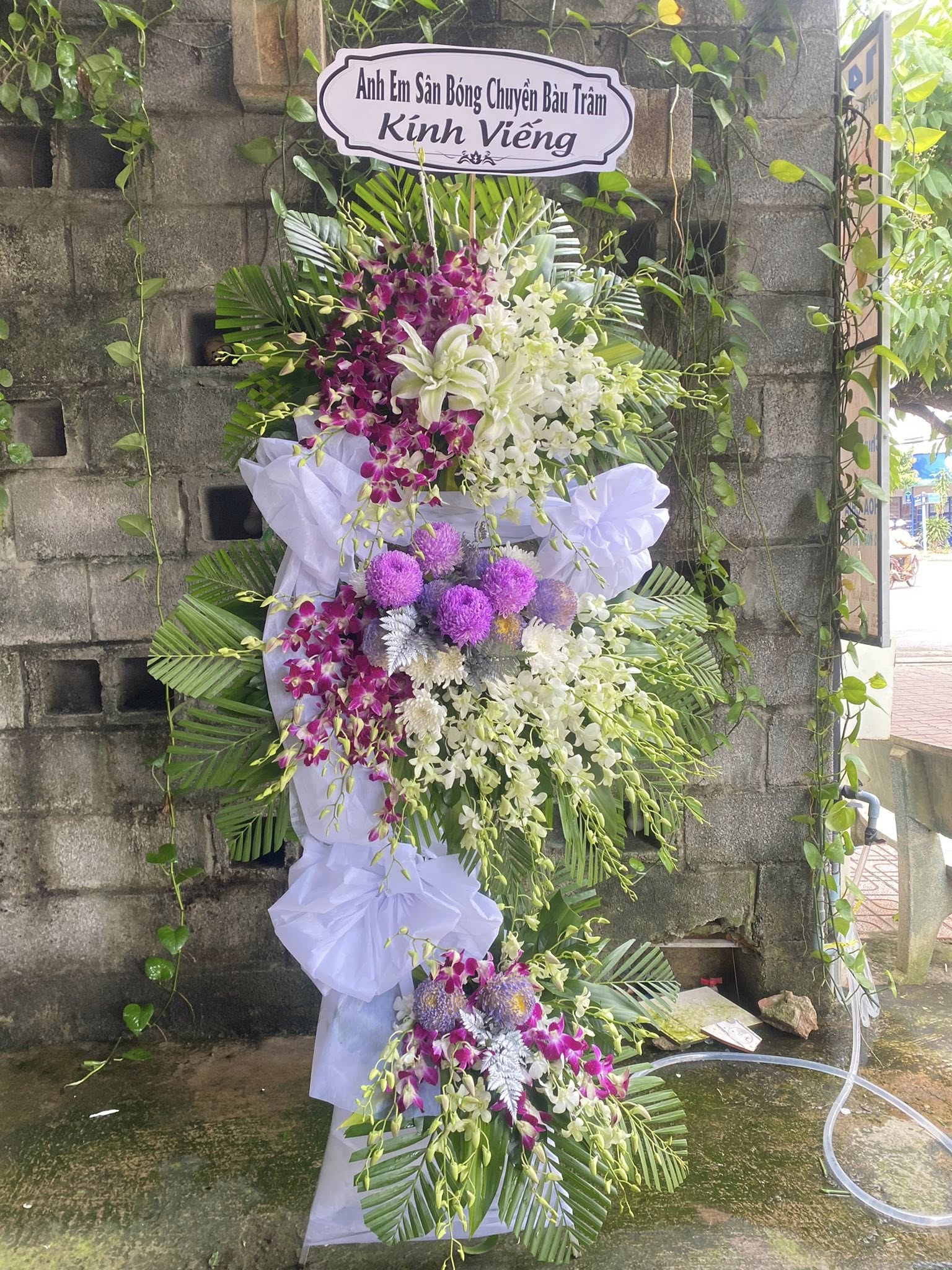 Shop hoa tươi hoa dâm bụp