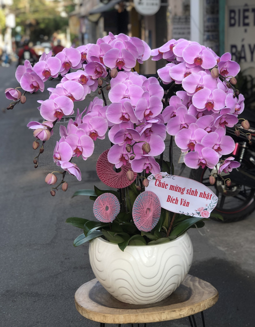 Mẫu Hoa Lan Hồ Điệp Tím 9 Cành