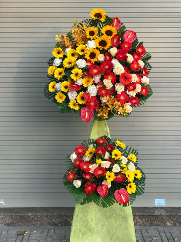 Kt 23